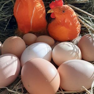 Frères Diemoz - Uova